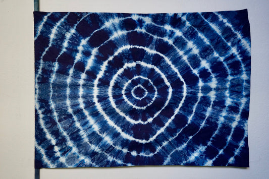 Beginner's Guide to Indigo Dyeing