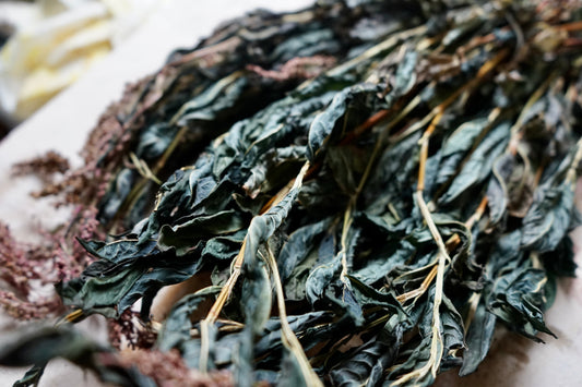 Dyeing with Dried Indigo Leaves | Dry Indigo Leaf Vat