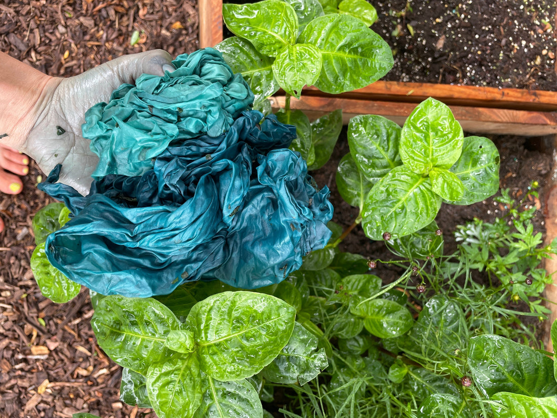 Fresh Leaf Indigo Dyeing: Two Simple Methods