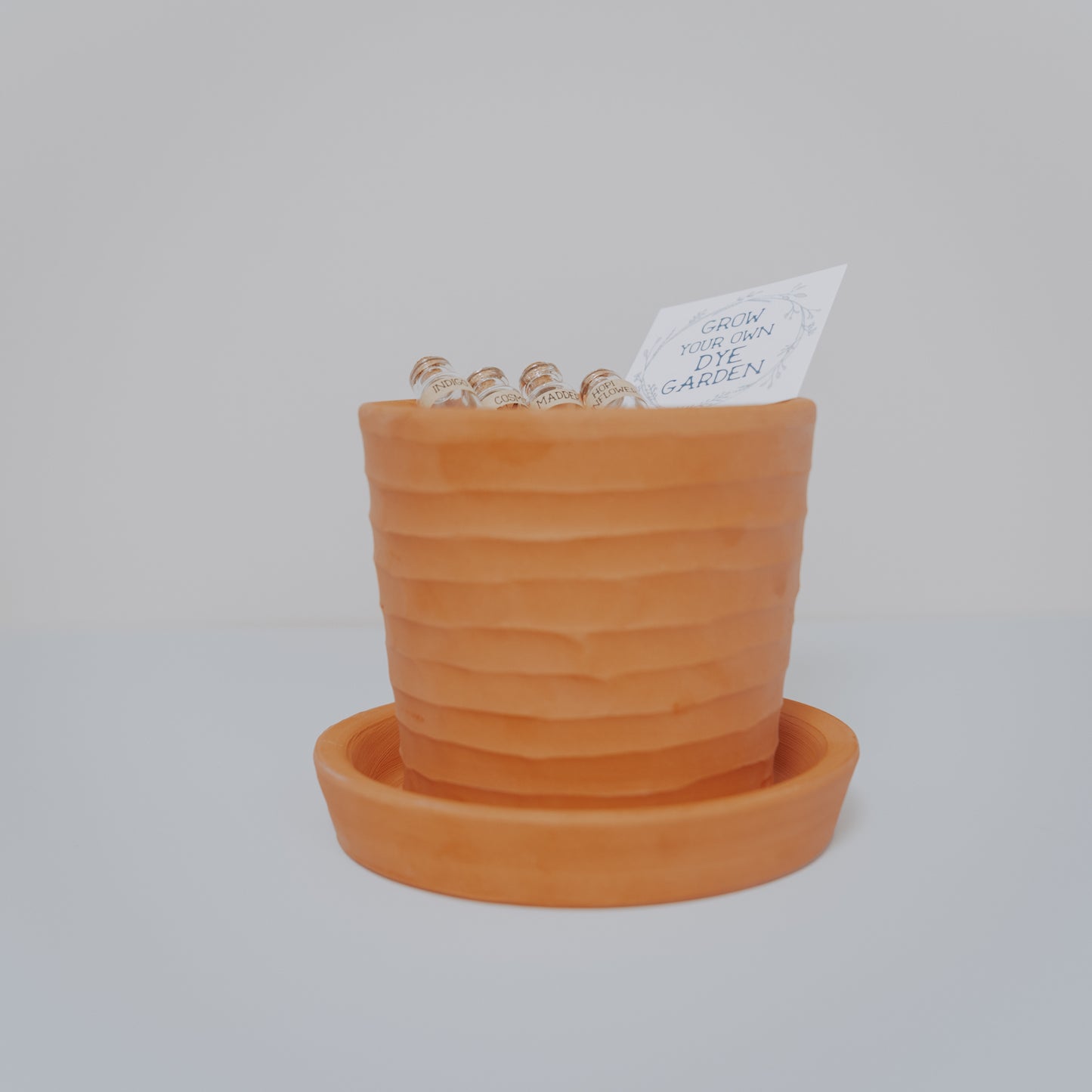 Dye Garden Kit