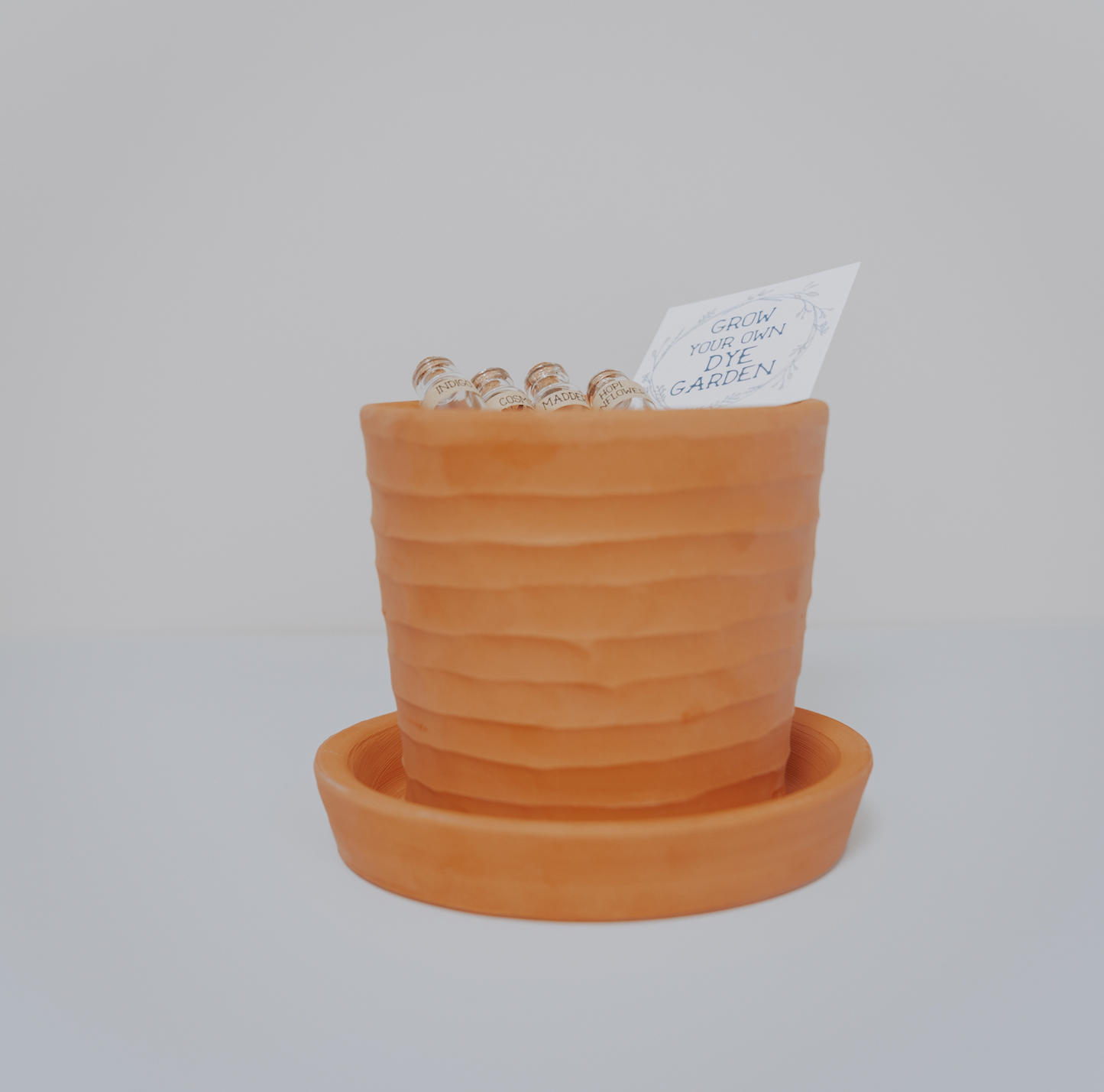 Dye Garden Kit | Handmade Ceramic Planter, Dye Plant Seeds and eBook