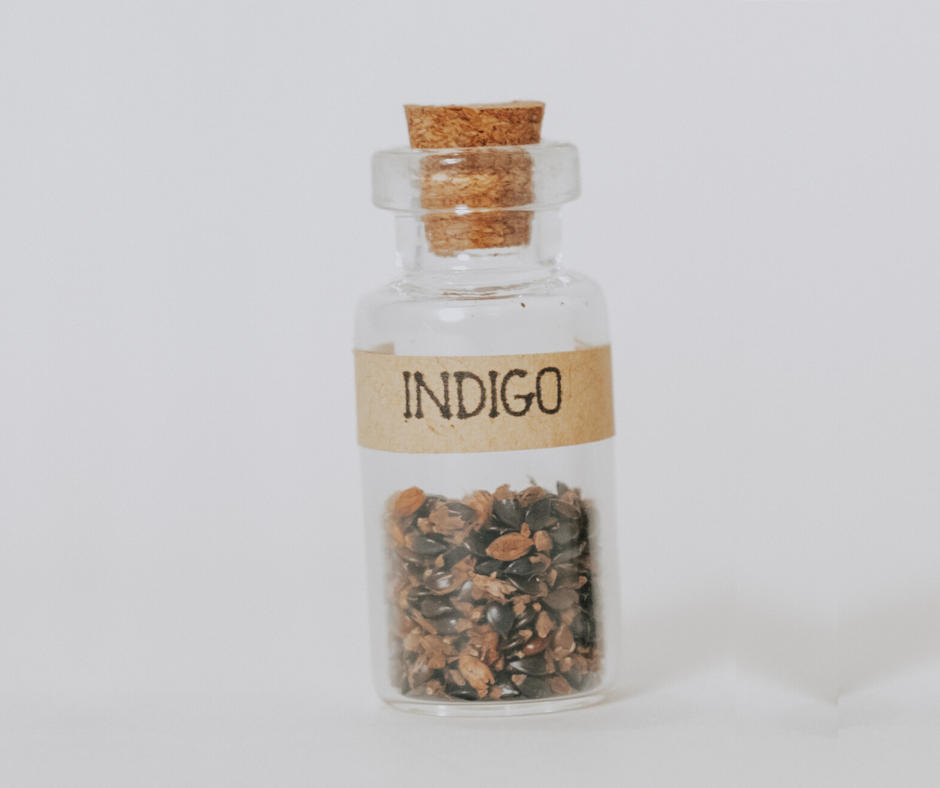 indigo plant seeds online Indigo Seeds – Kristin Arzt