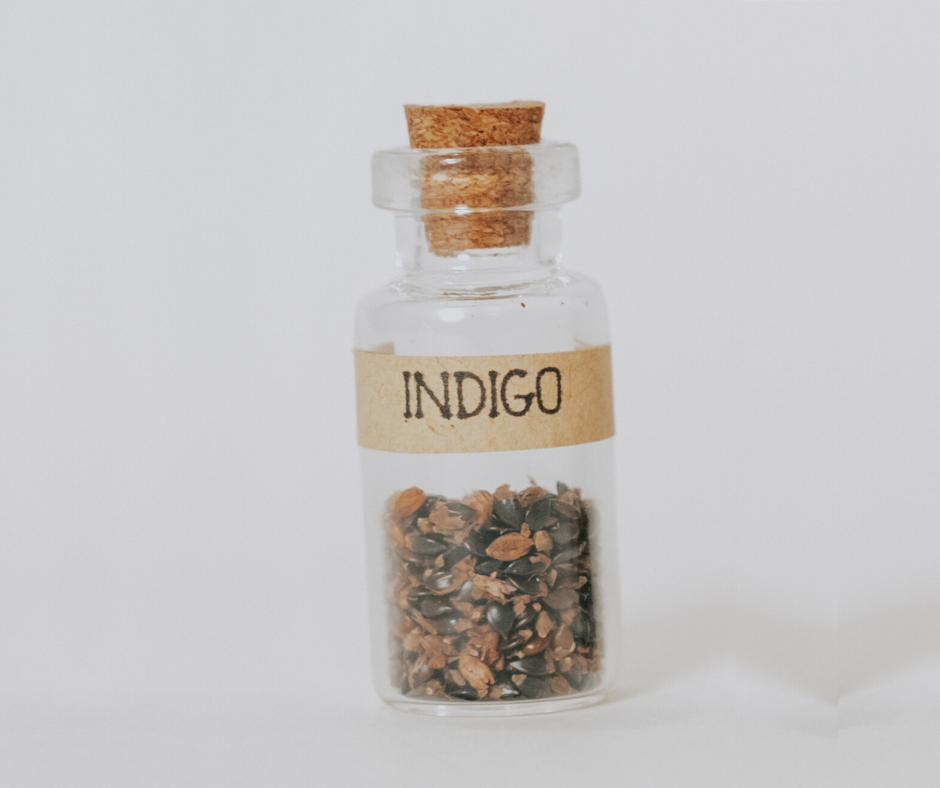 Indigo Seeds