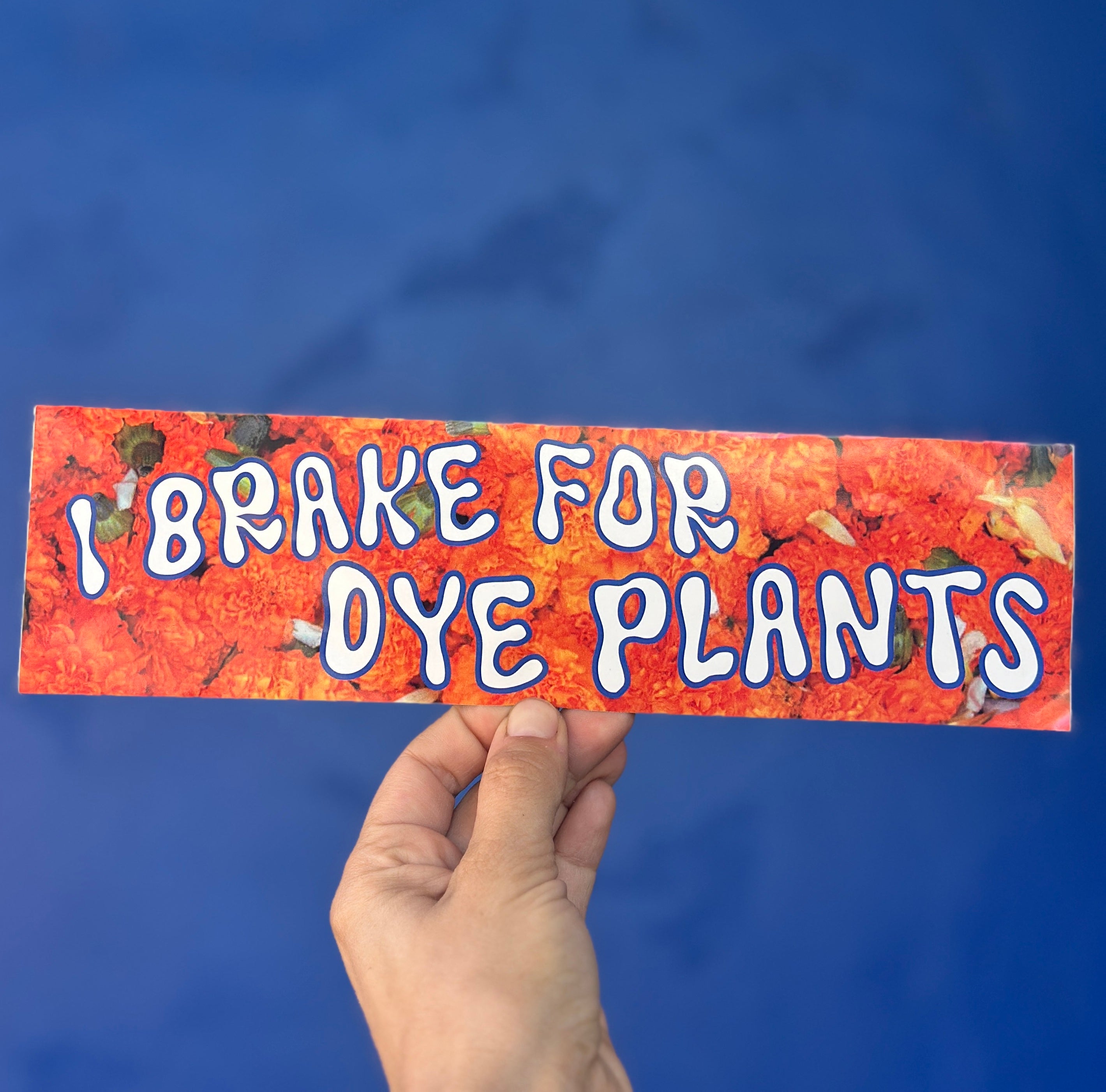 Bumper Sticker – Kristin Arzt