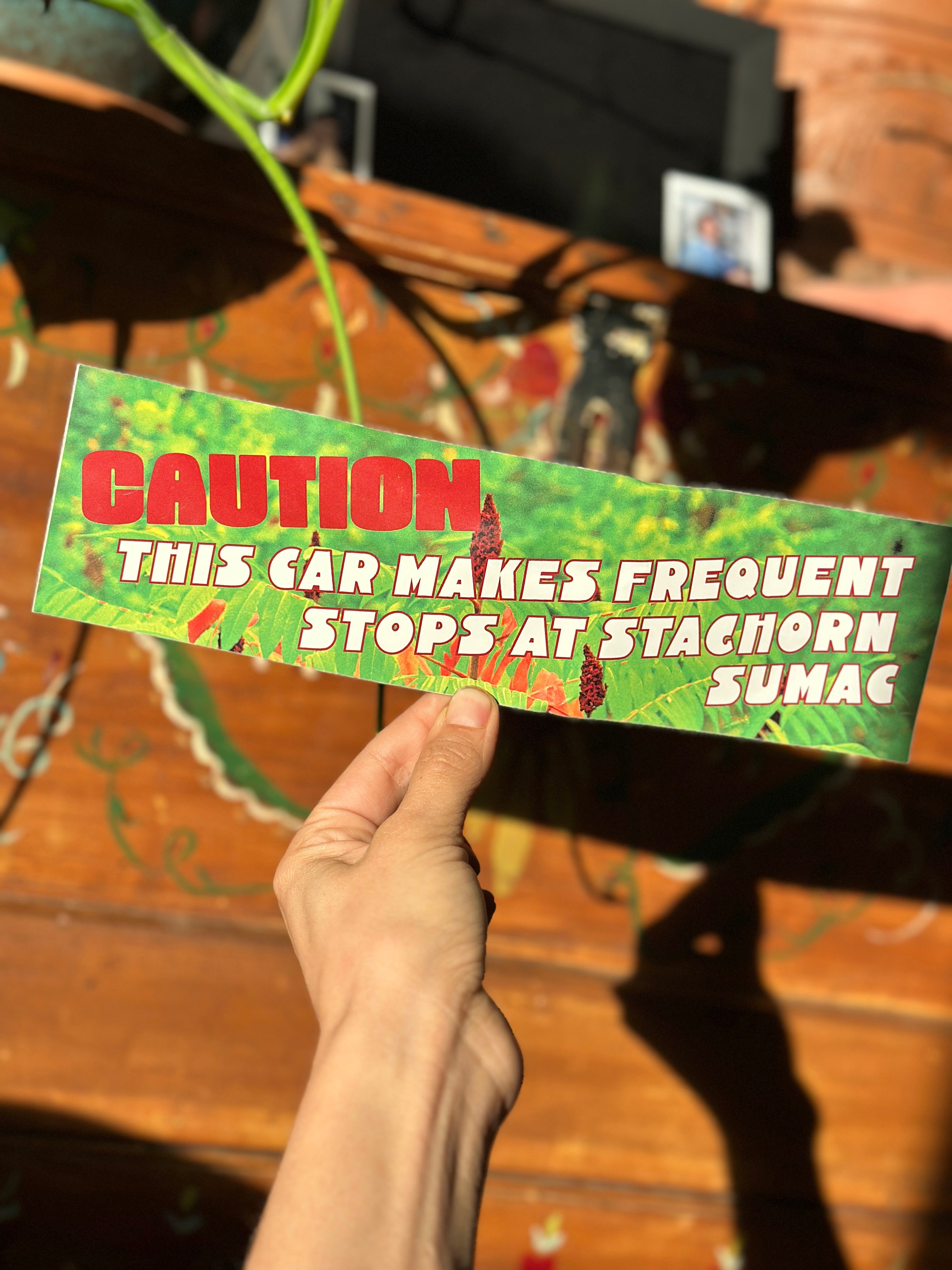 Bumper Sticker – Kristin Arzt