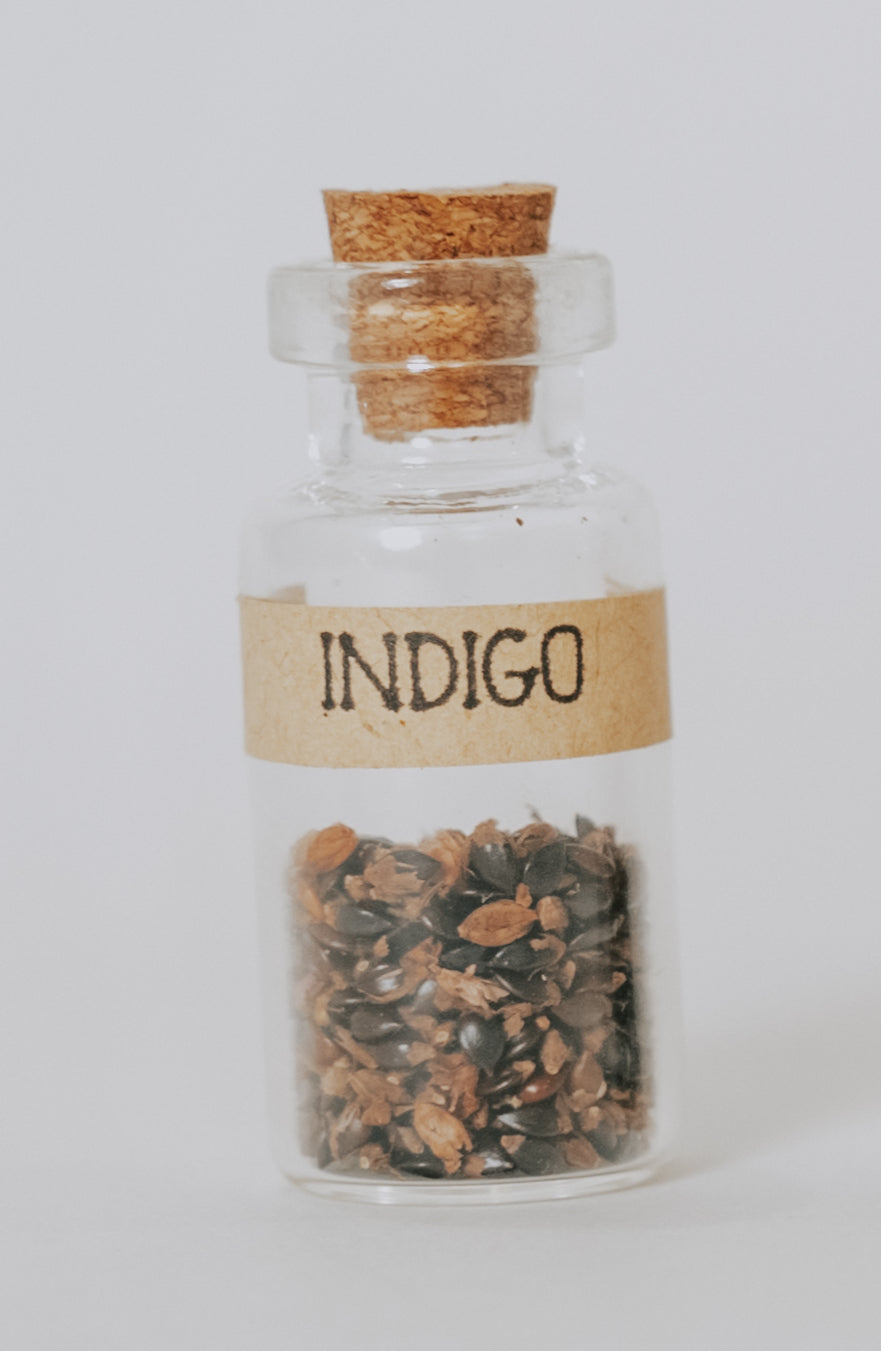 Indigo Seeds
