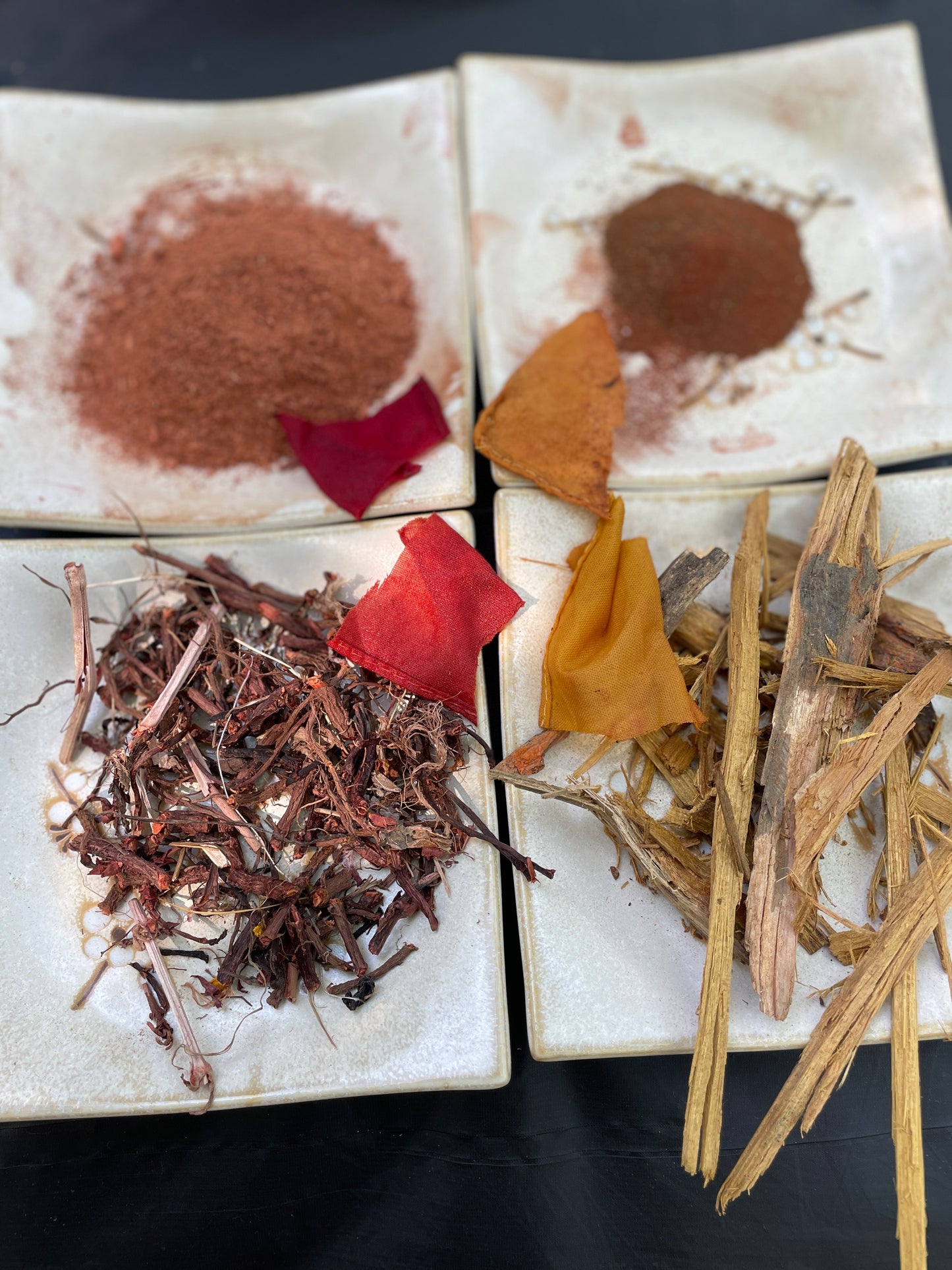 Make a Natural Dye Rainbow Online Class