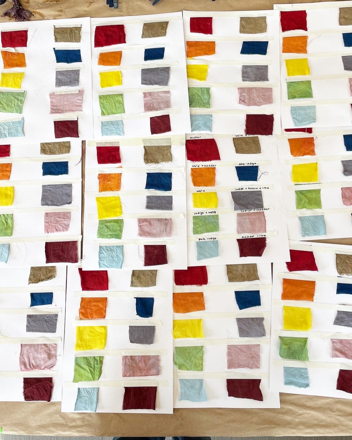 Make a Natural Dye Rainbow Online Class
