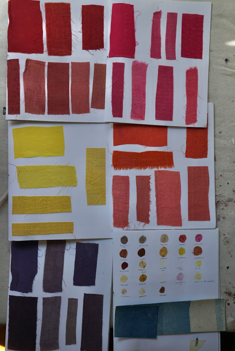 Make a Natural Dye Rainbow Online Class