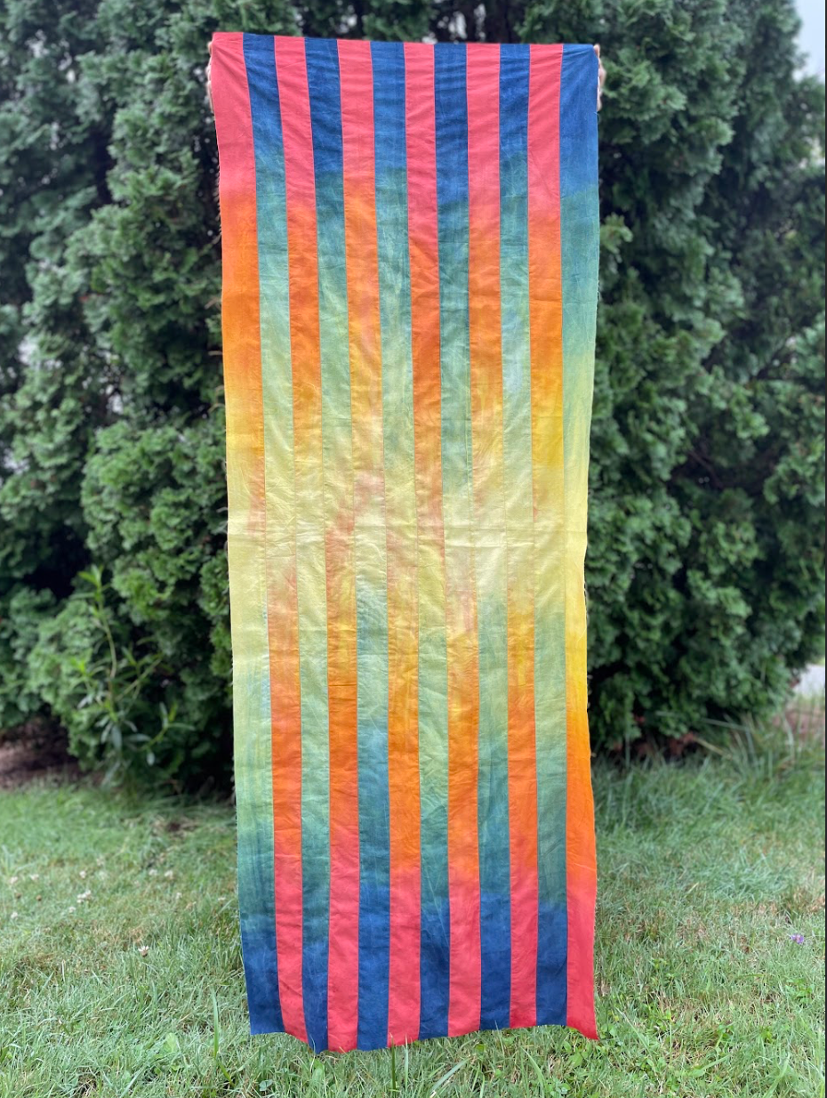 Make a Natural Dye Rainbow Online Class