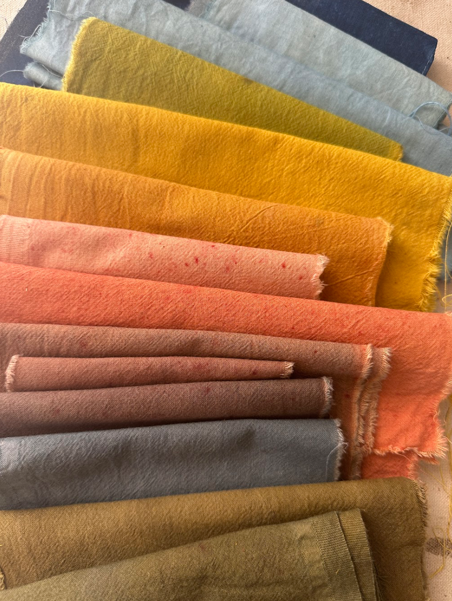 Make a Natural Dye Rainbow Online Class