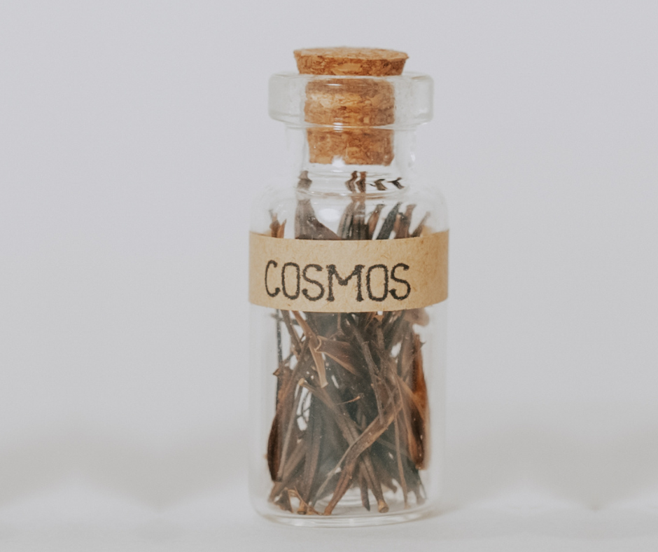 Cosmos Seeds